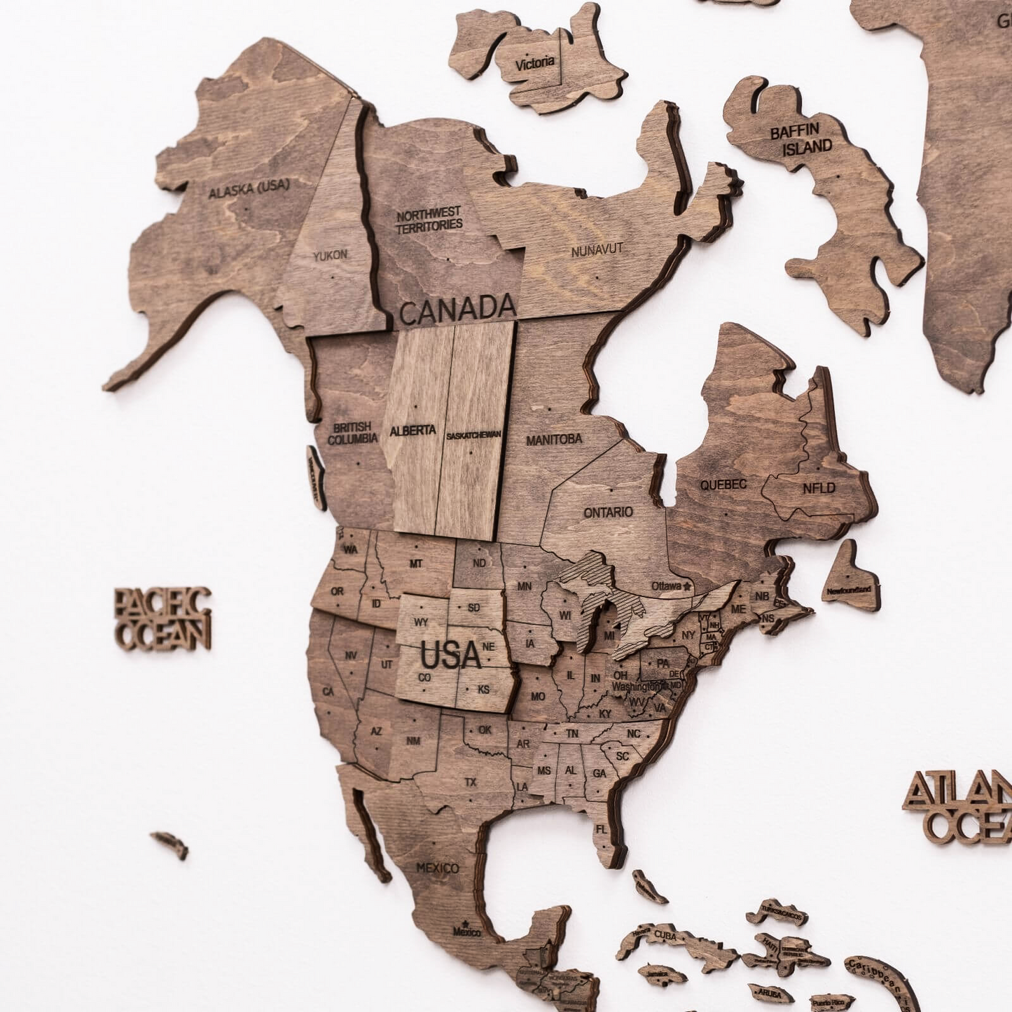 3d wooden map and flag pins