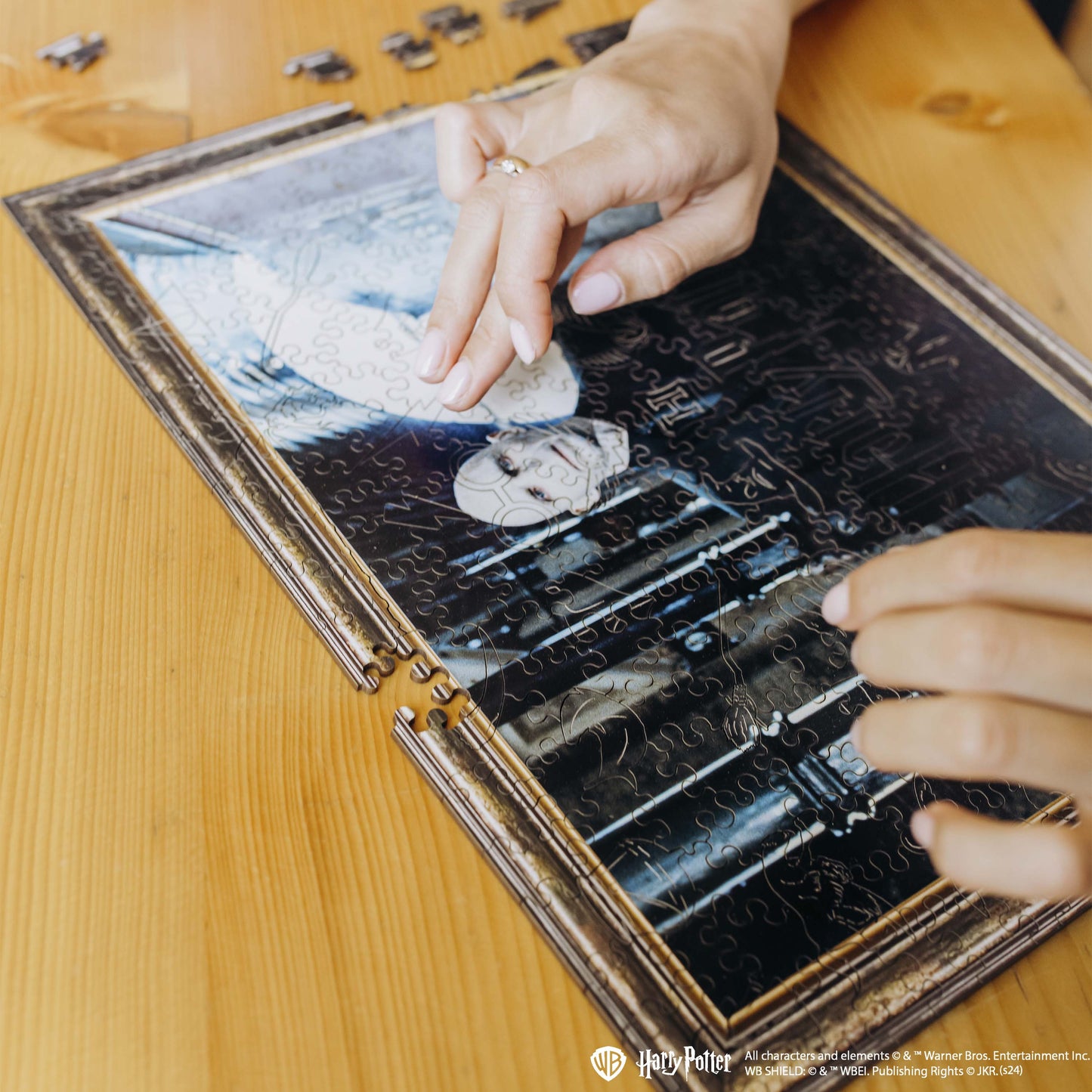 Wooden jigsaw puzzle Harry Potter Voldemort ™