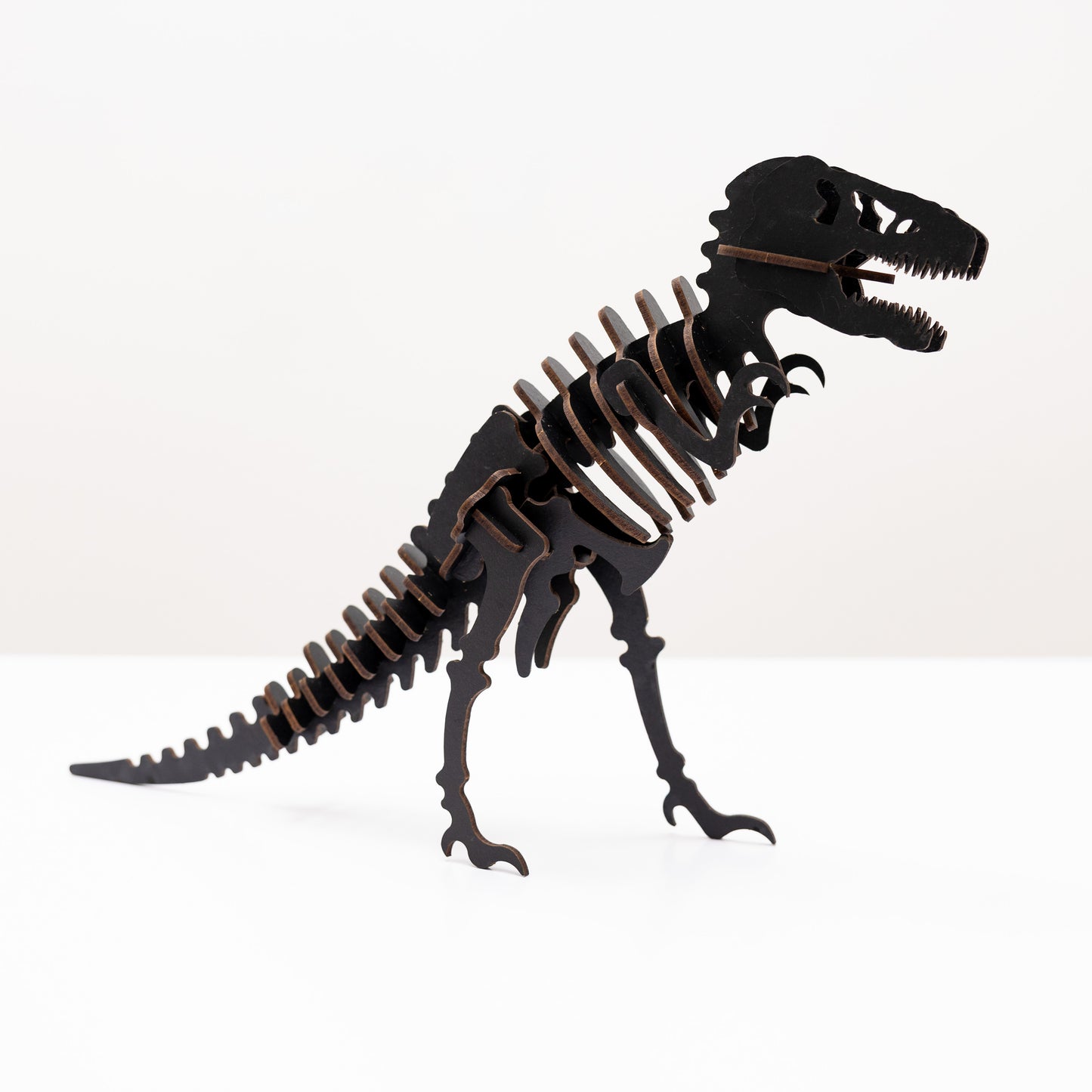 Black 3D Tyrannosaurus Rex #2 DIY Kit