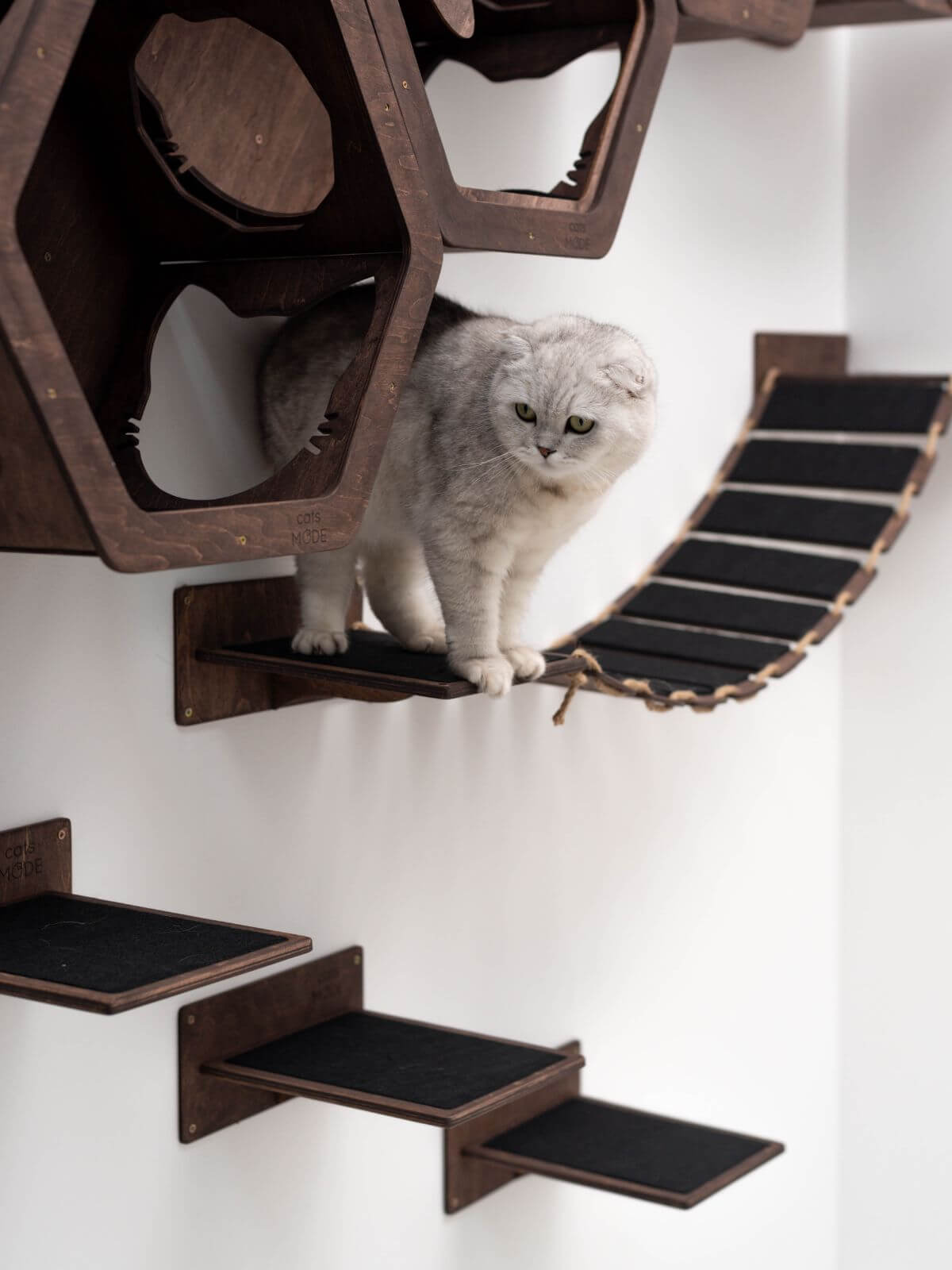 wooden cat bridge in dark walnut color covered with black felt with cat on it