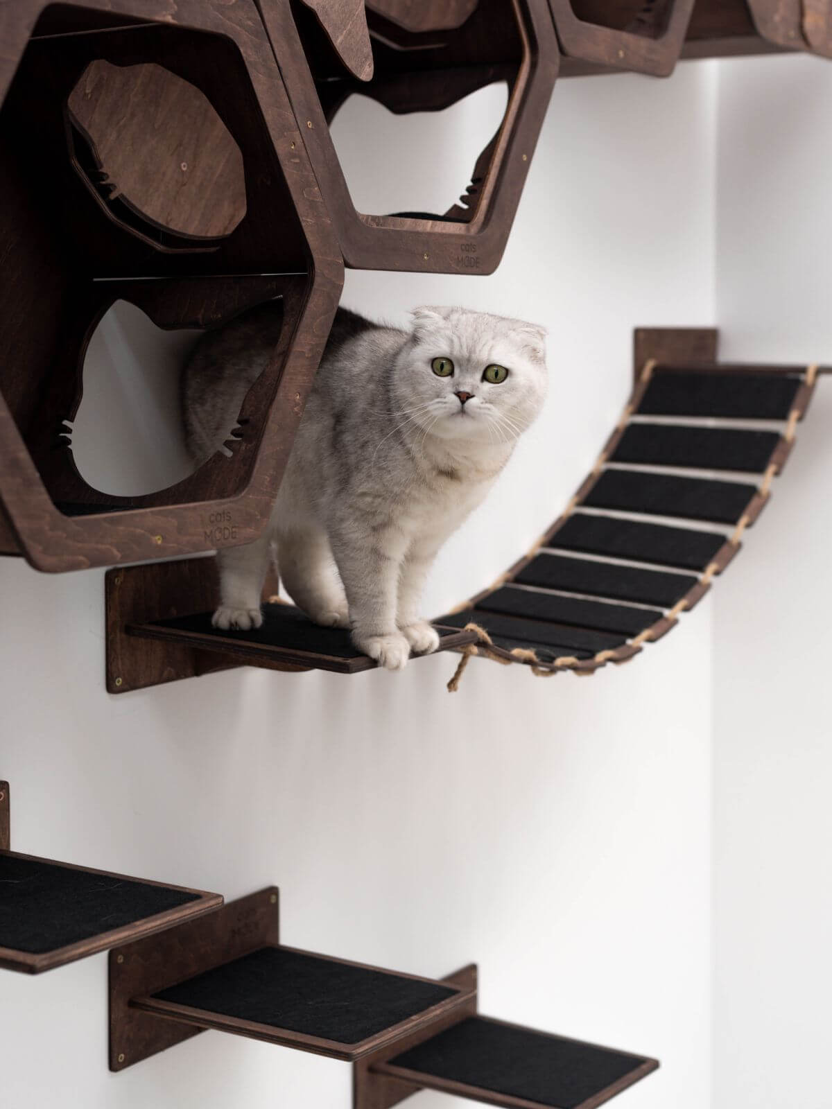 wall mounted cat bridge in dark walnut color covered with black felt