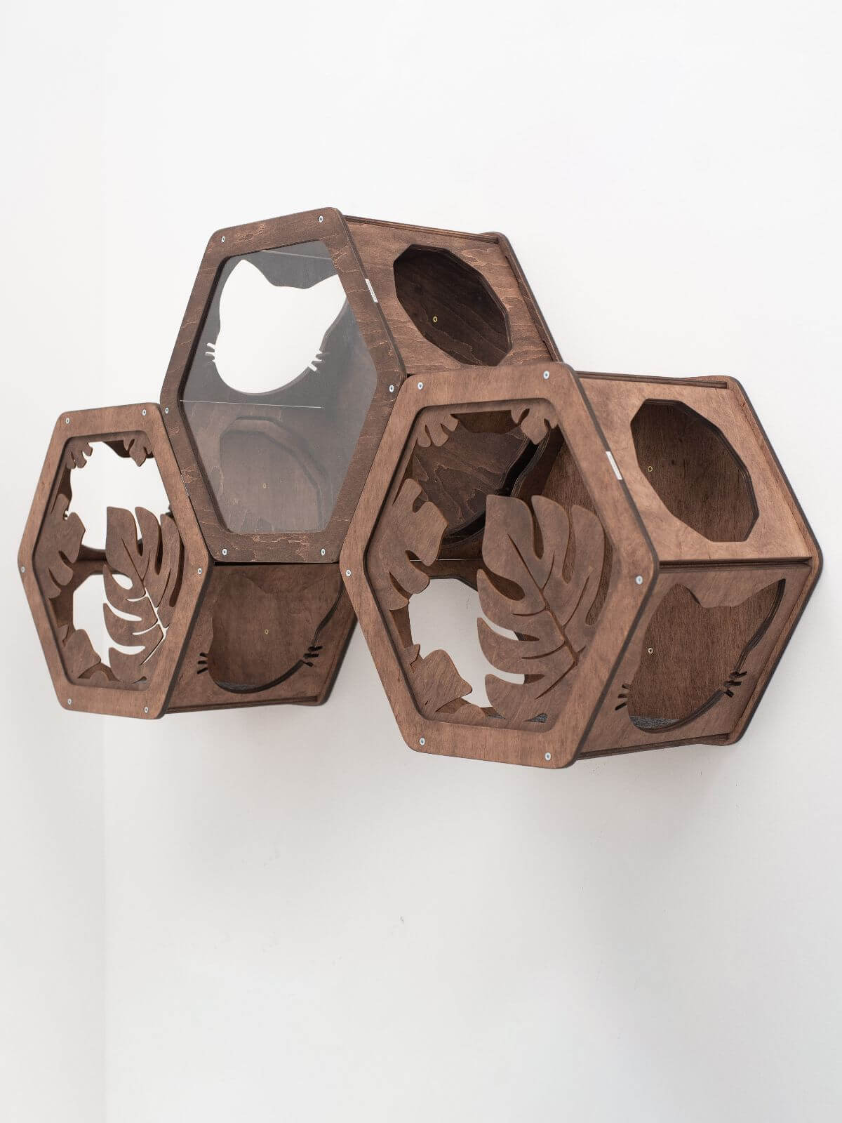 wooden fame for cat