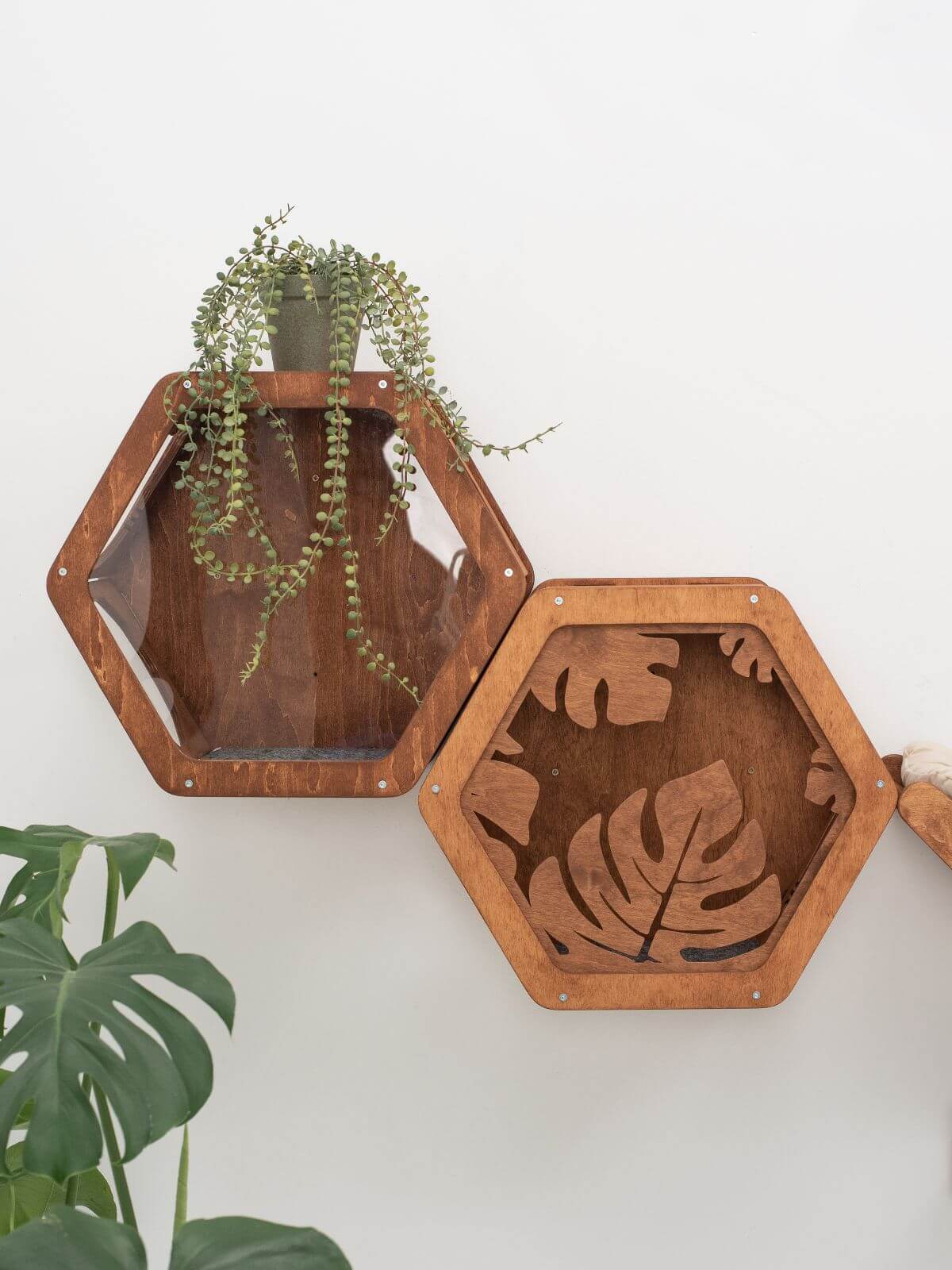 woody frame