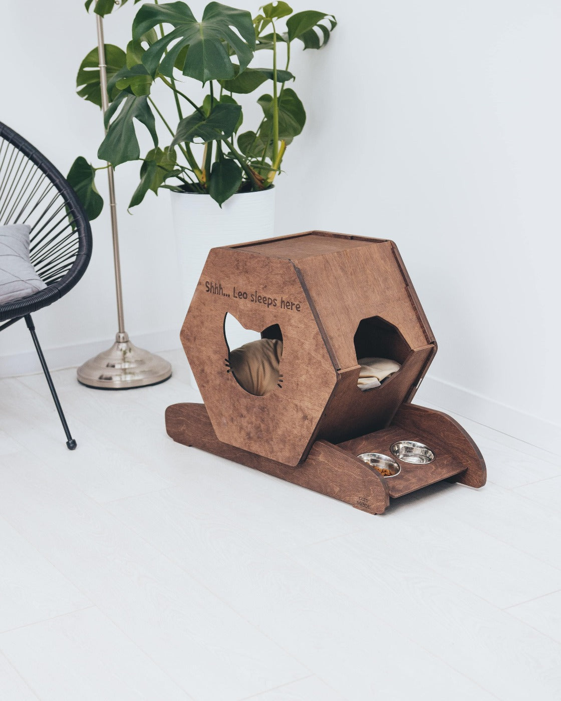 cats stand wooden
