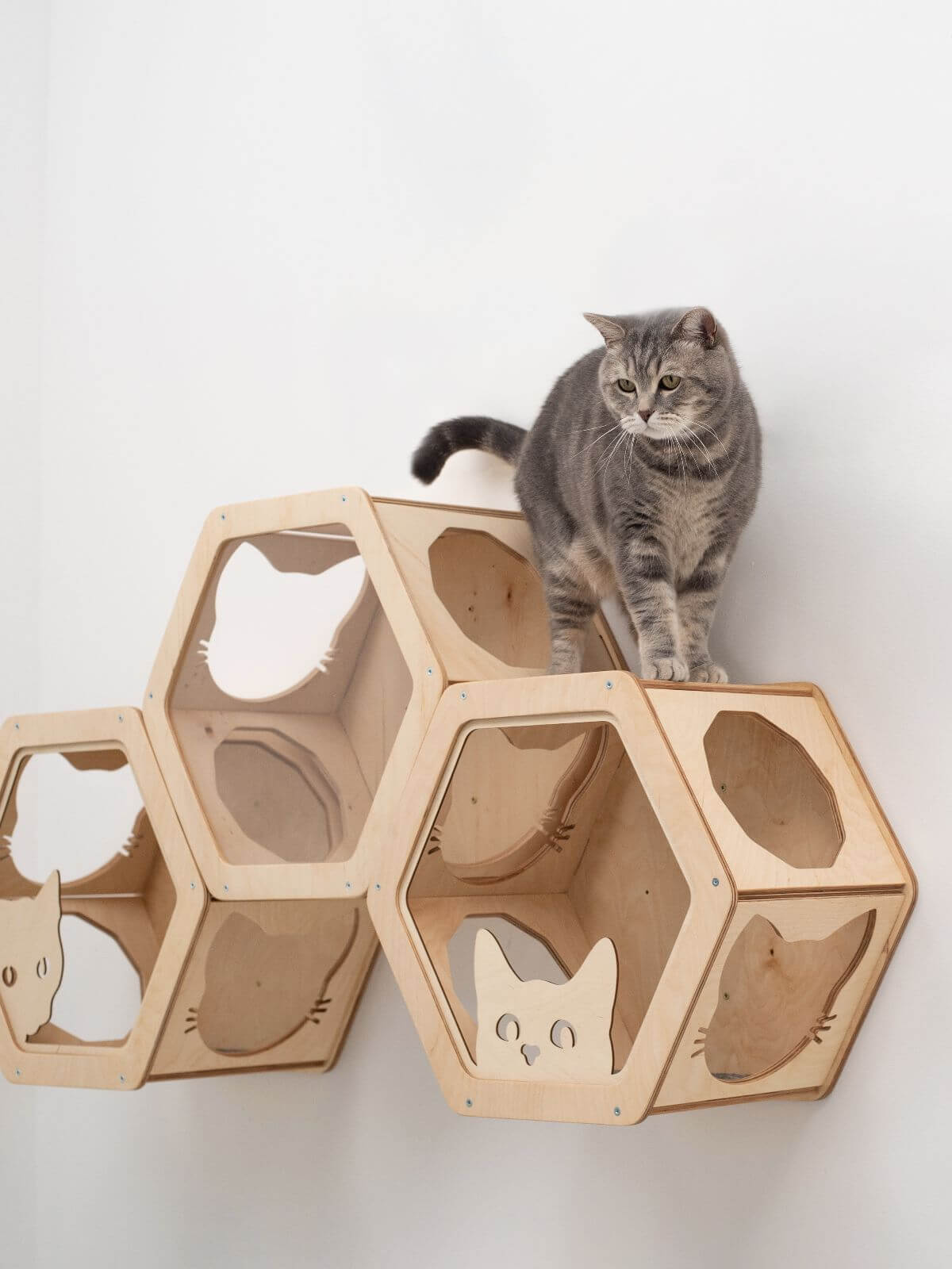 set of three hexagon cat wall shelves