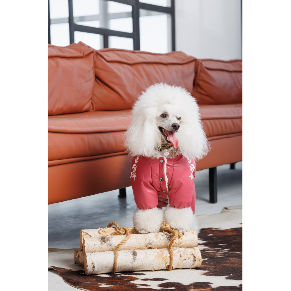 Cherry Dog overall for dogs