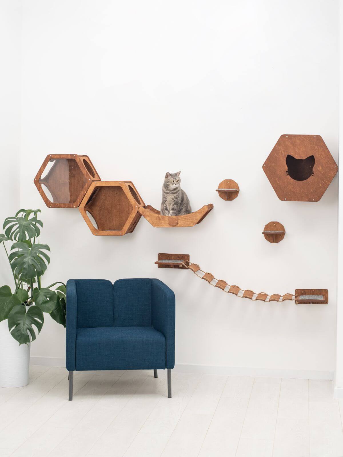 cat feeding stand