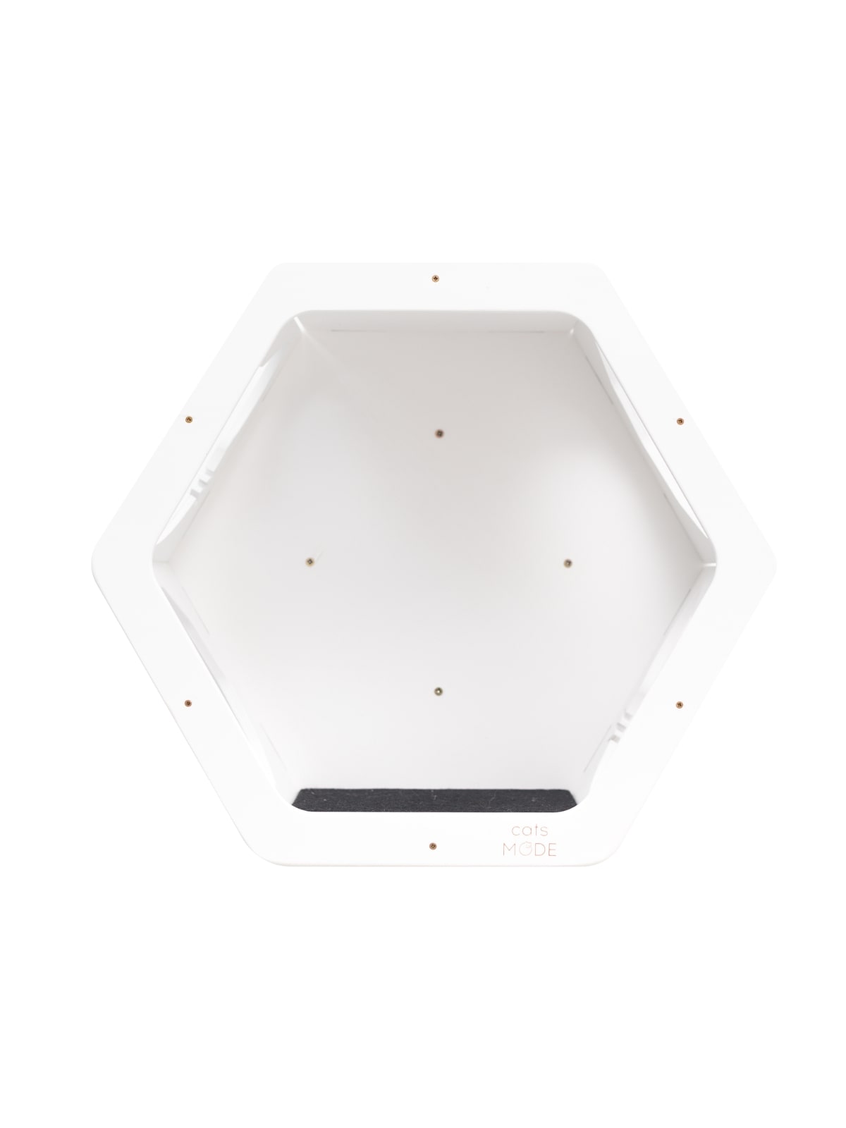cat climbing wall shelves in white color