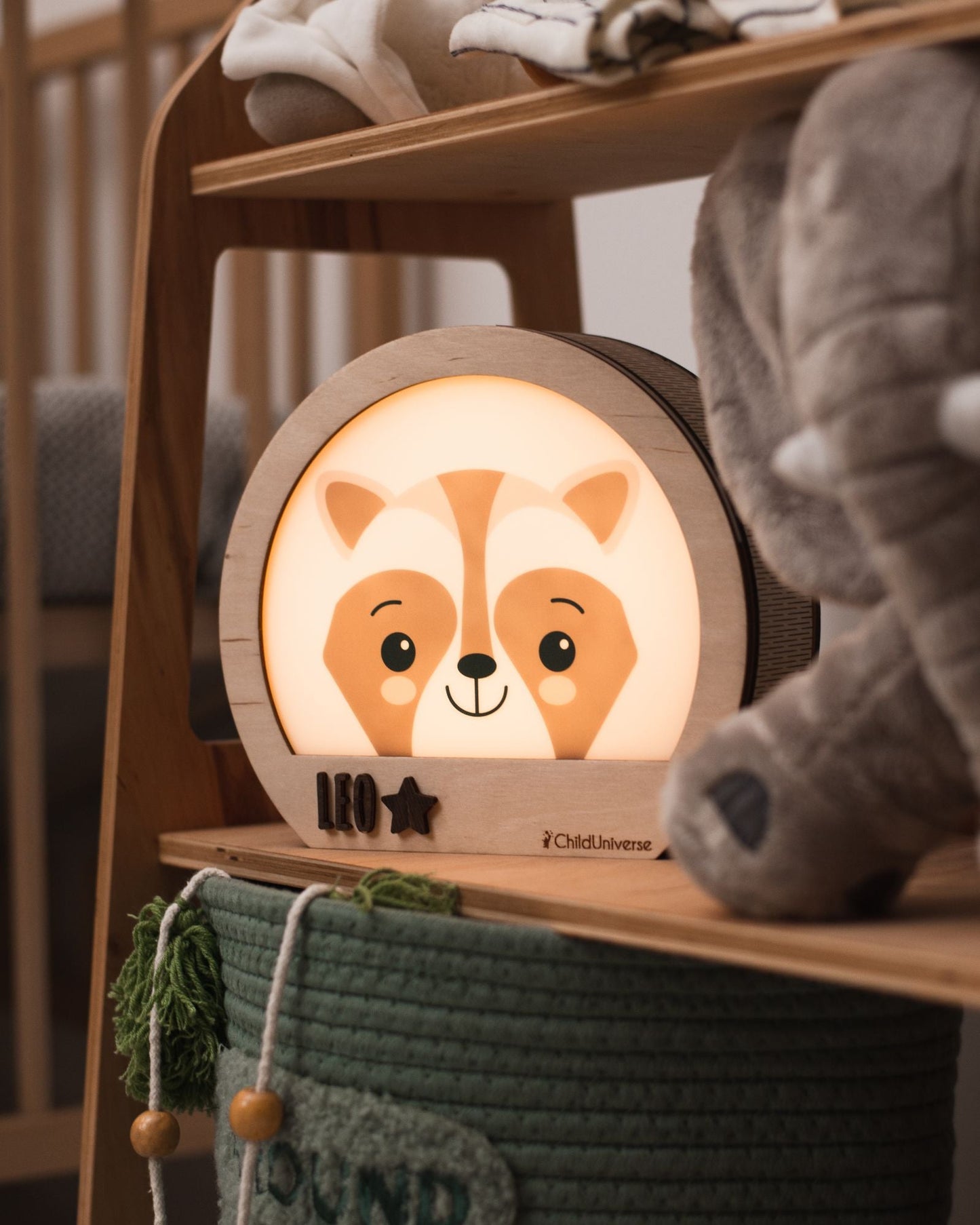 light night raccoon