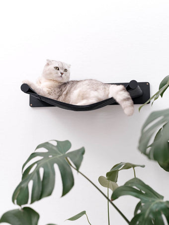 Cat Hammock