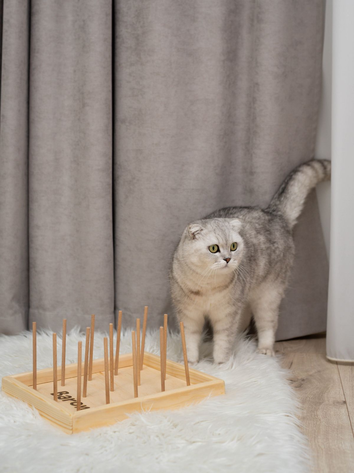 Chew Toy for Cat