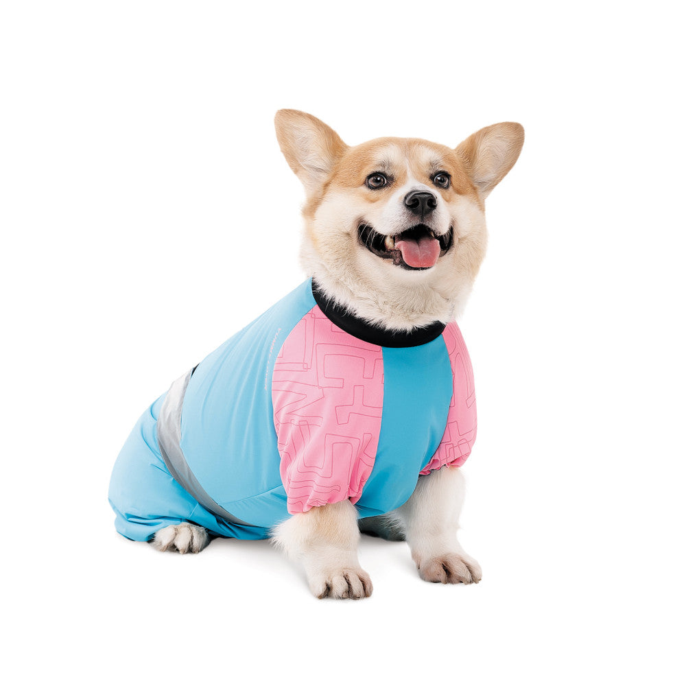 Pet clothes