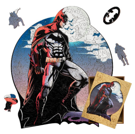 DC Universe Wooden Puzzle