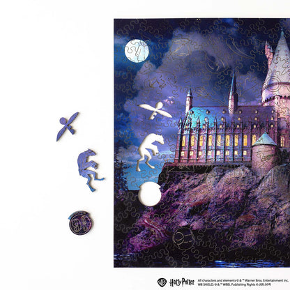 Wooden jigsaw puzzle Harry Potter Hogwarts Castle Night™