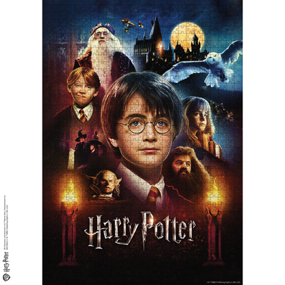 Classic Wooden puzzle "Harry Potter and the World of Magic"