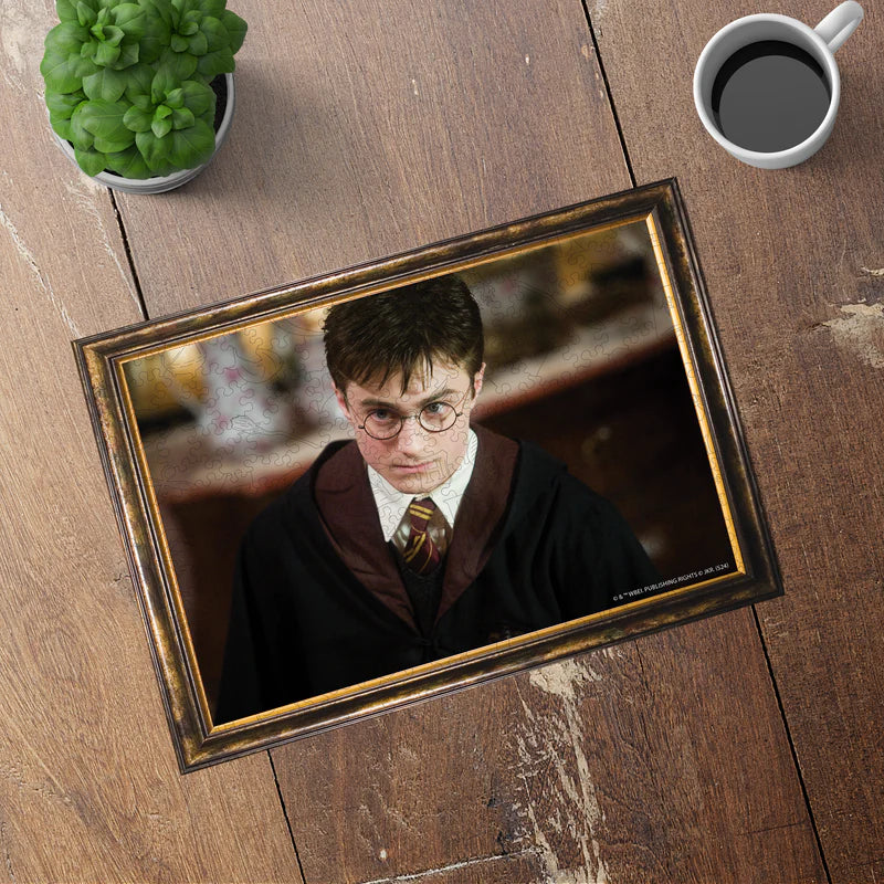 Wooden jigsaw puzzle Harry Potter™