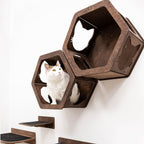 Wall Hexagon Cat House Set 2 Felt + Cat Bridge S