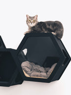 Black Mixed Cat Set House - CatsMode