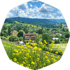 Wooden Jigsaw Puzzle Carpathians