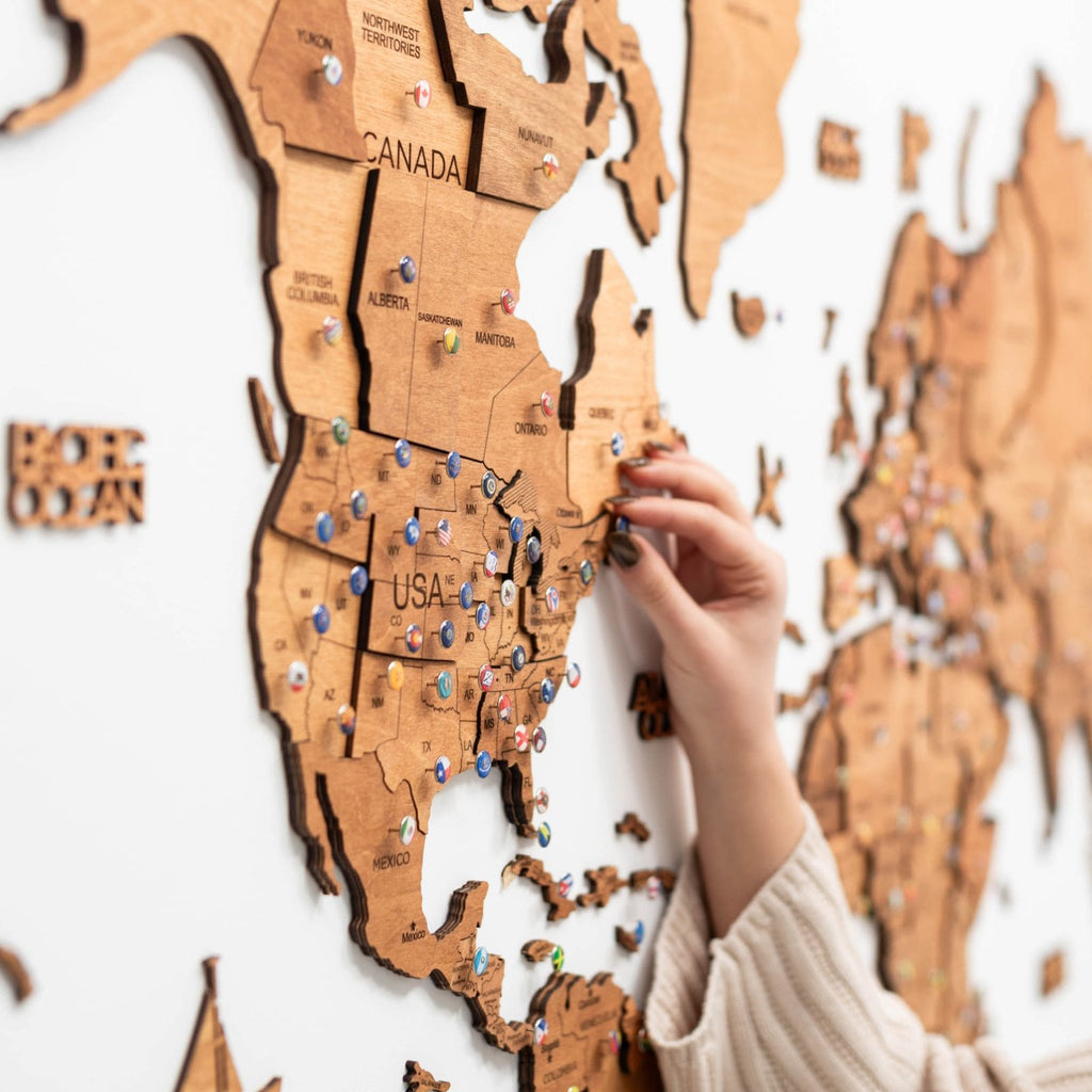 world map puzzle 3d