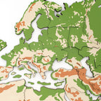 world map colorful art