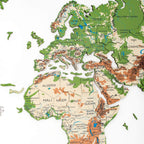 world map painted on wood