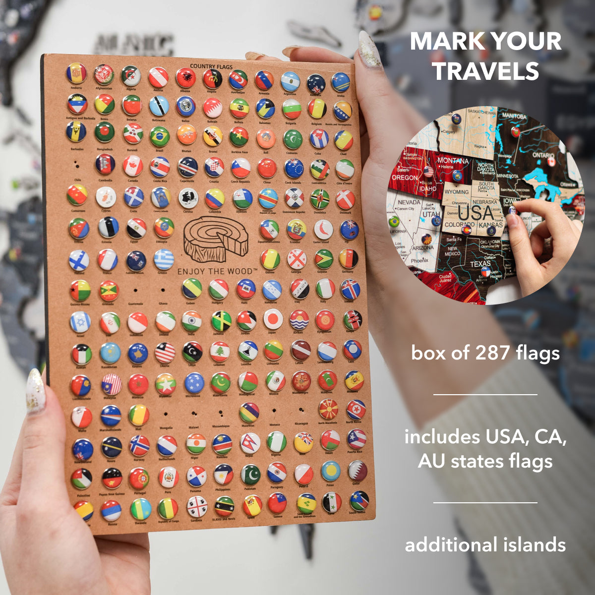 wooden map with magnetic pins