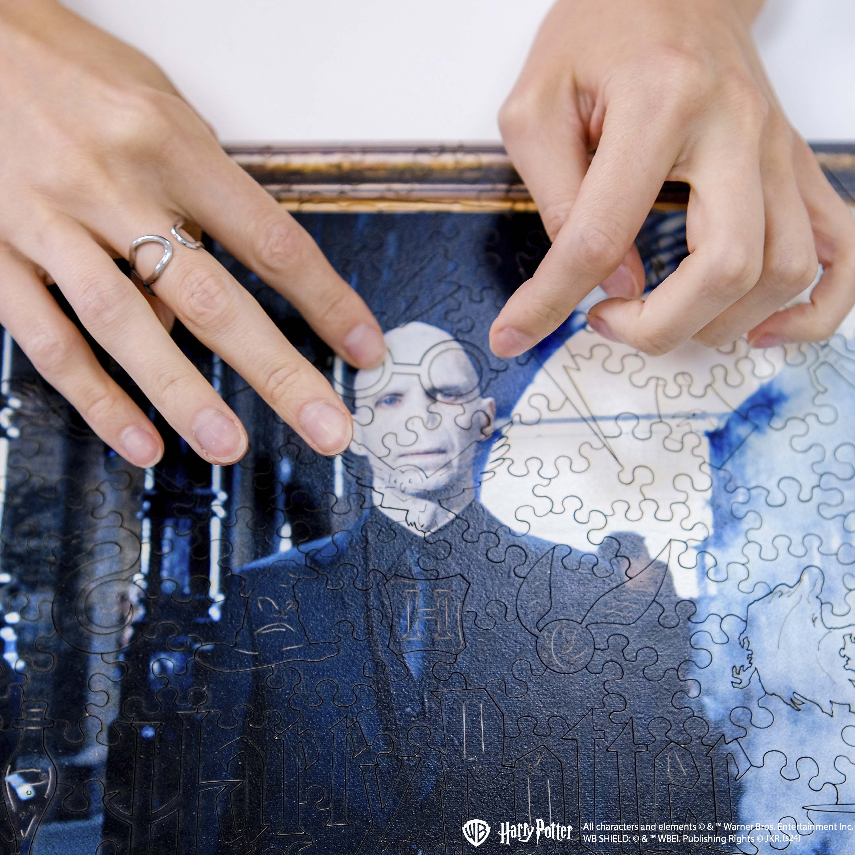 Wooden jigsaw puzzle Harry Potter Voldemort ™