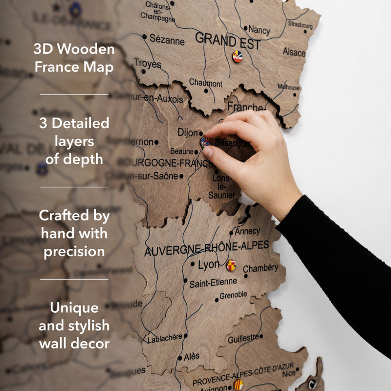 3D Wooden Map of France - Terra