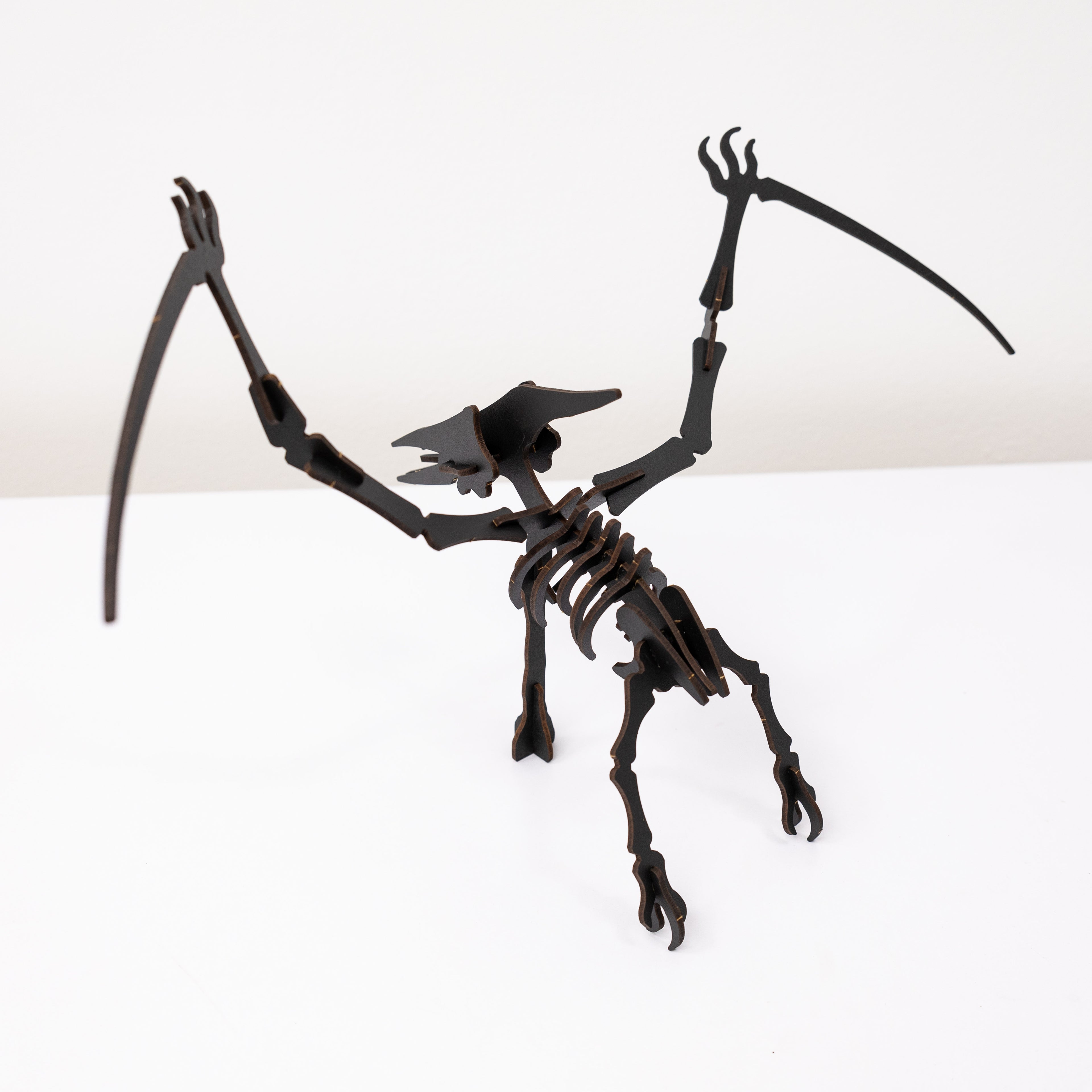 Black 3D Pterosaur DIY Kit