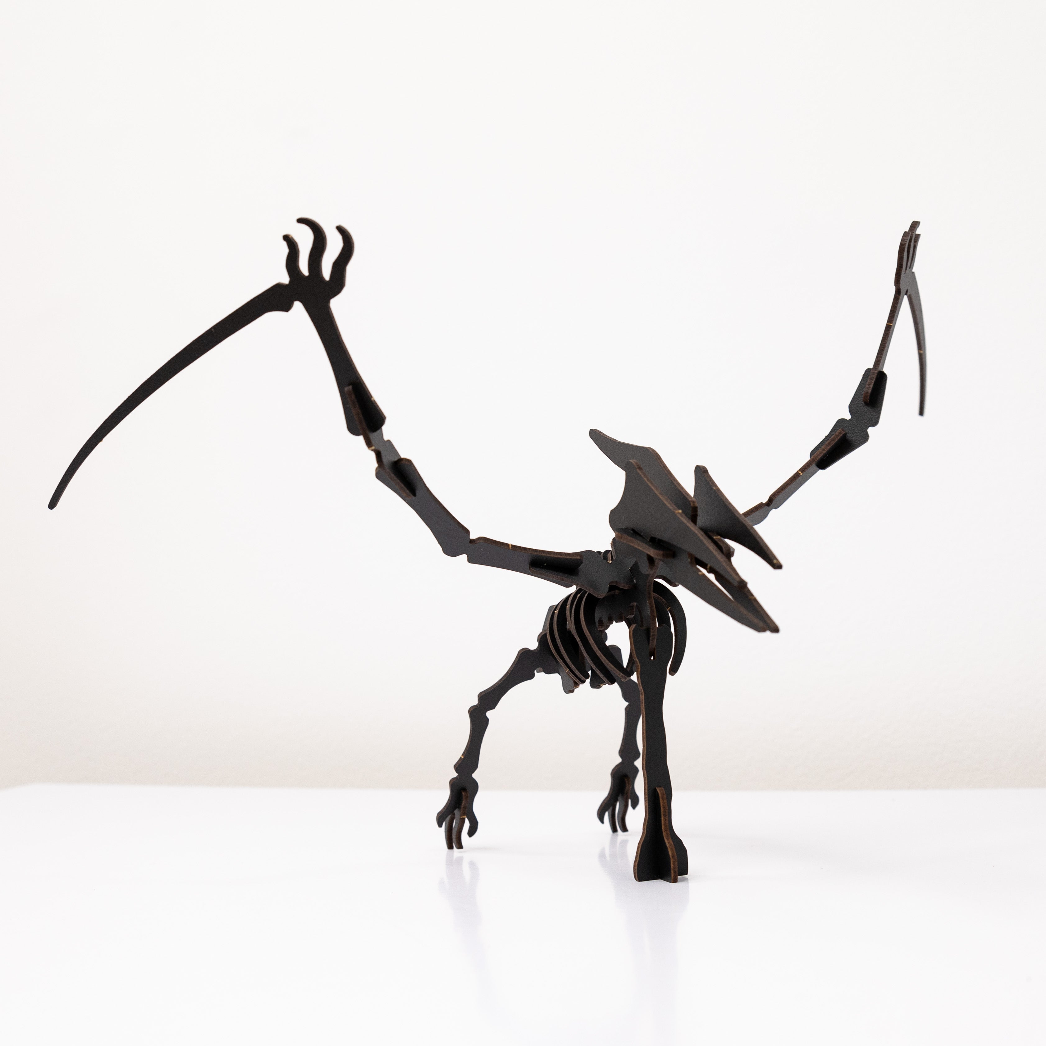 Black 3D Pterosaur DIY Kit