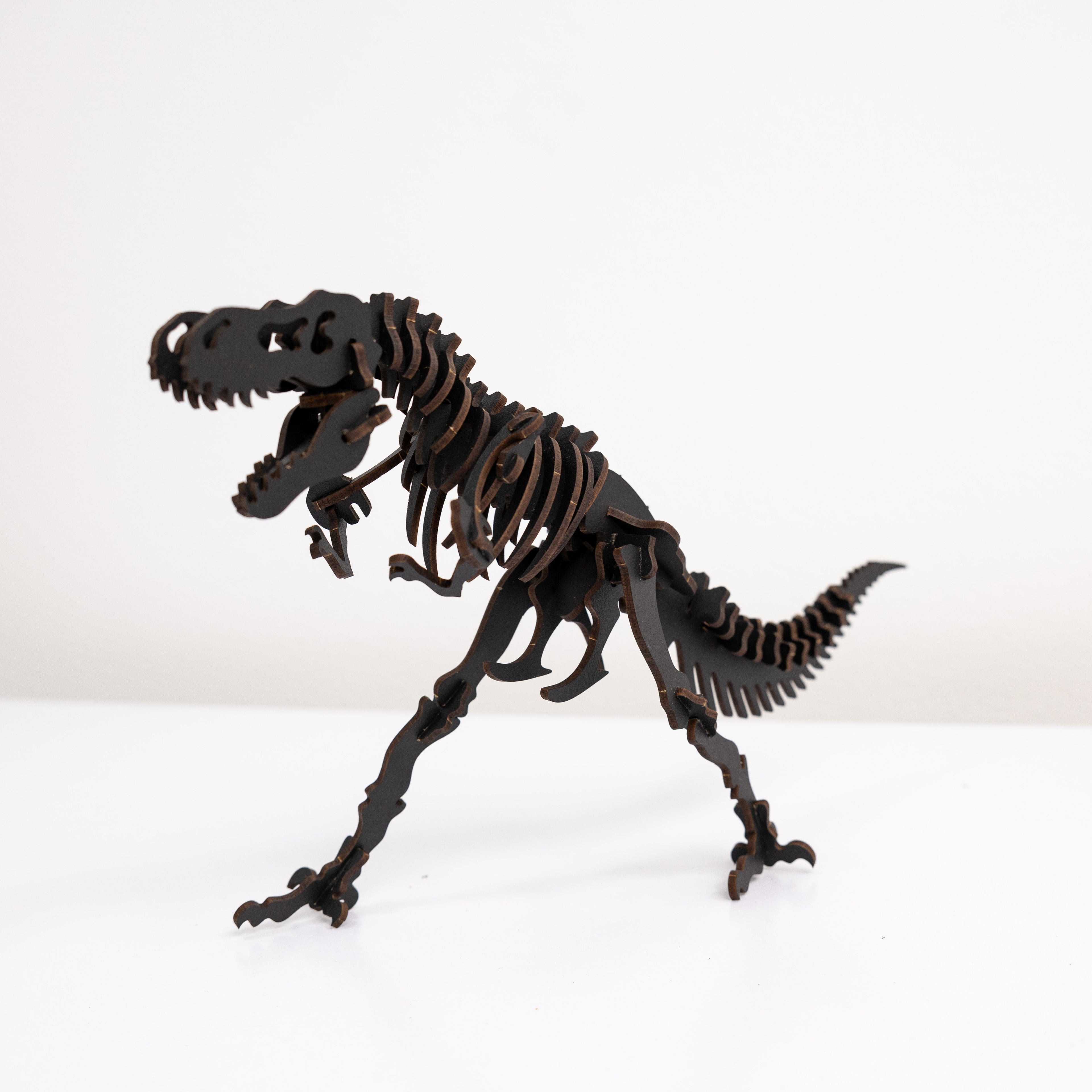 Black 3D Tyrannosaurus Rex DIY Kit