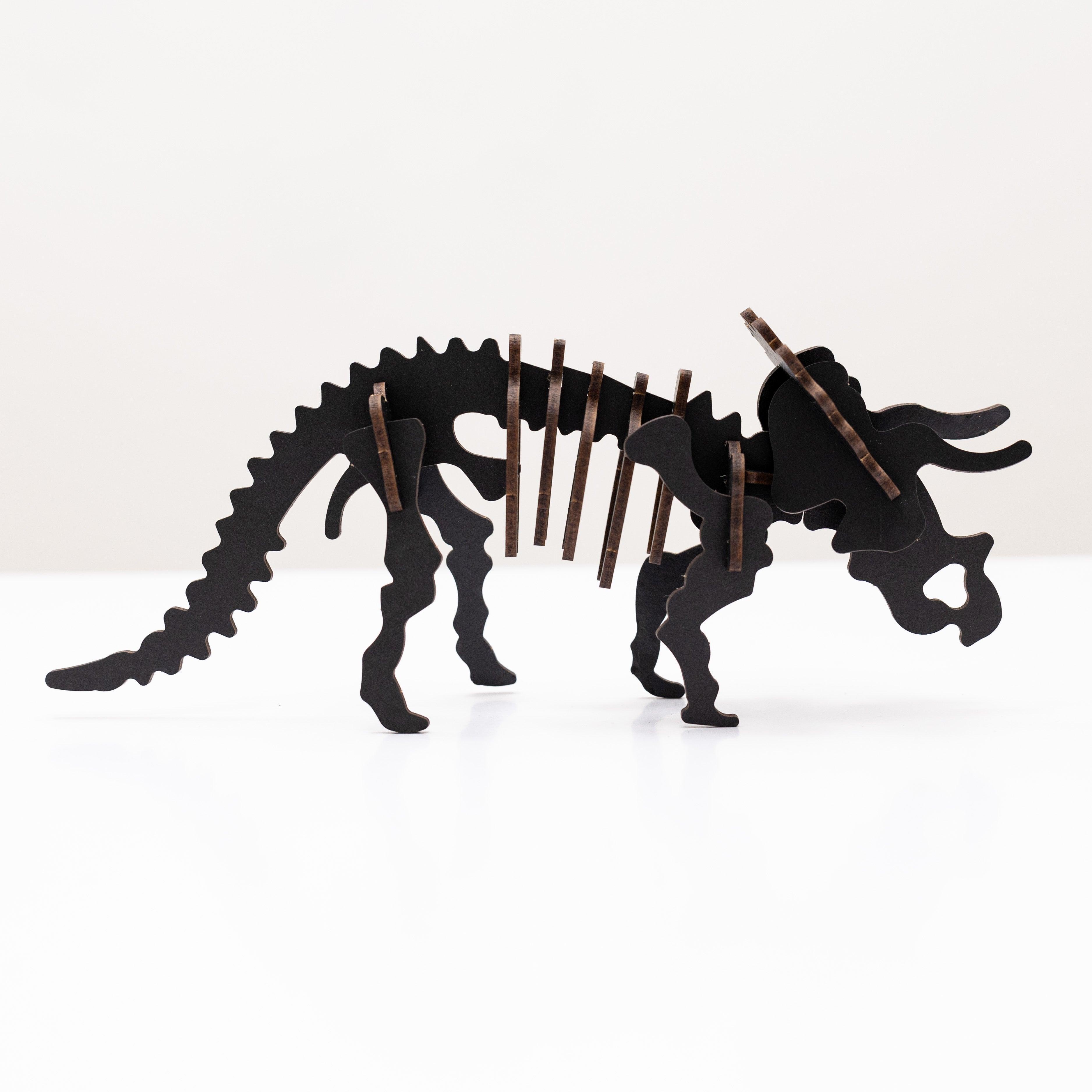 Black 3D Triceratops DIY Kit