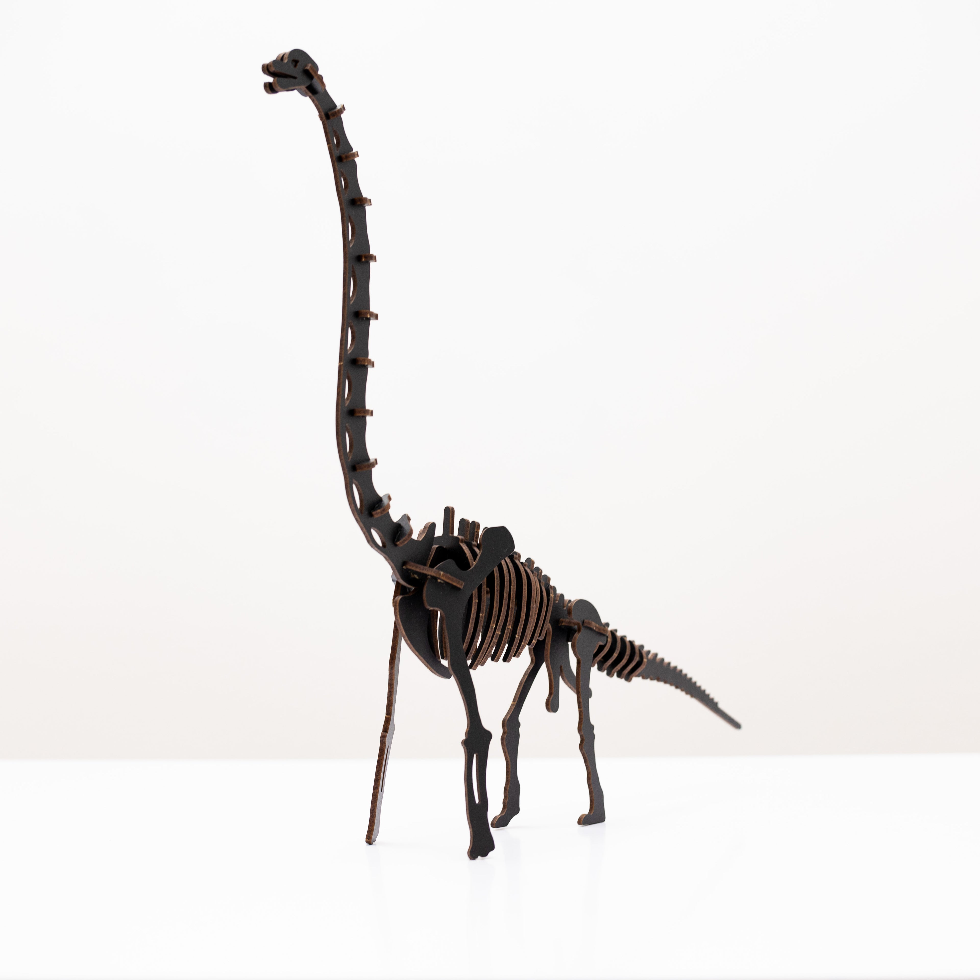 Black 3D Brachiosaurus DIY Kit