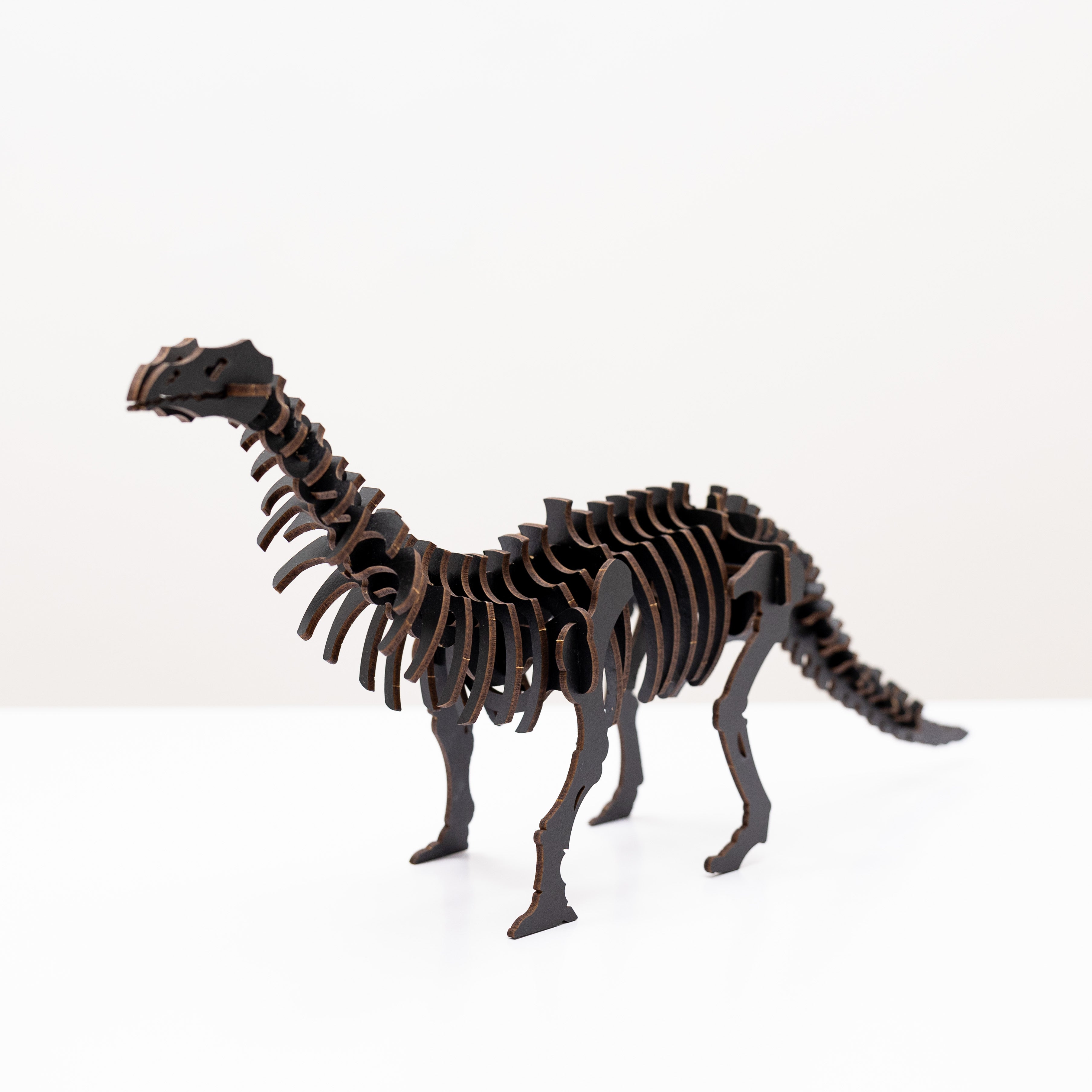 Black 3D Brontosaurus DIY Kit