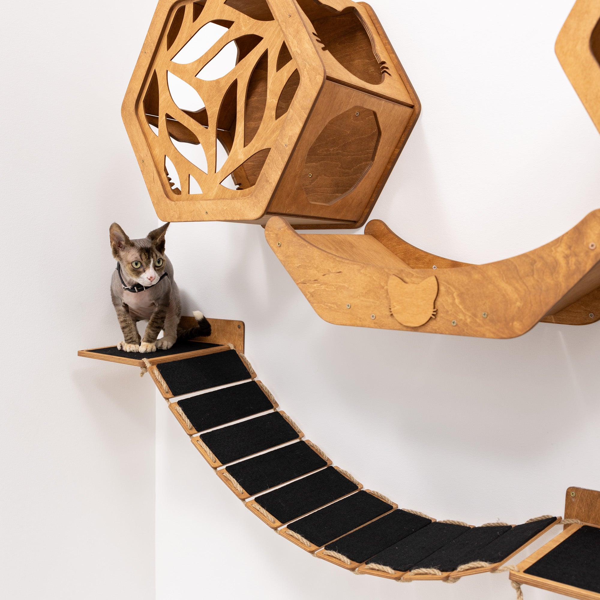 Wall Hexagon Cat House Set 2 Felt +bridge + Basket for Cats