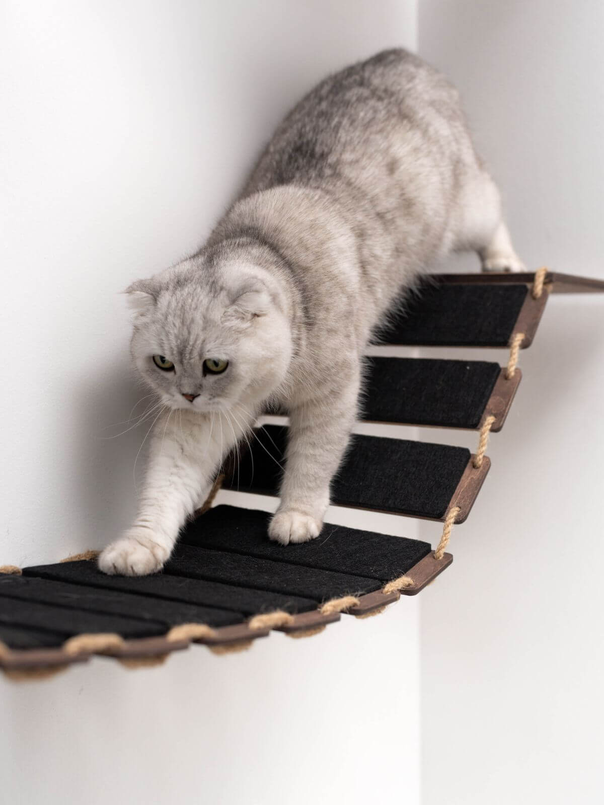 cat walk for wall with rope covered with black felt for additional comfort