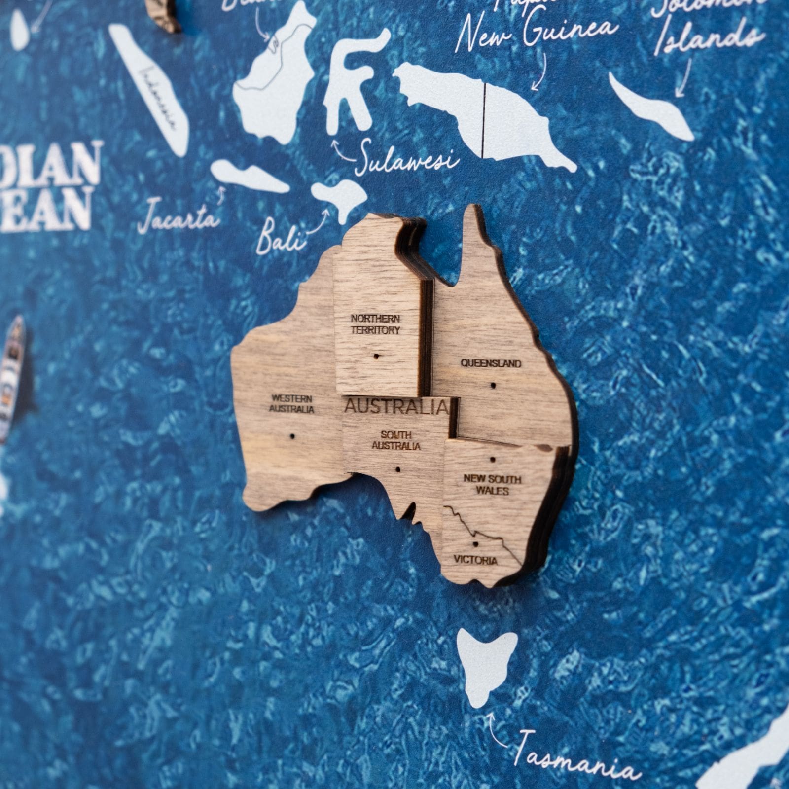 3D Wooden Panel World Map Terra