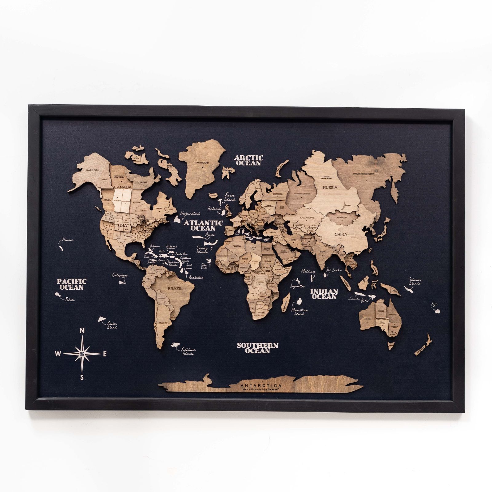 3D Wooden Panel World Map Terra