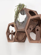 wooden acrylic  frame cats