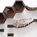 Wall Hexagon Cat House Set 3 Felt +bridge + Basket for Cats