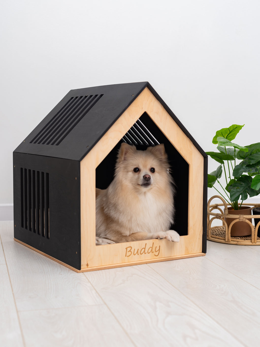 Small Indoor Dog House
