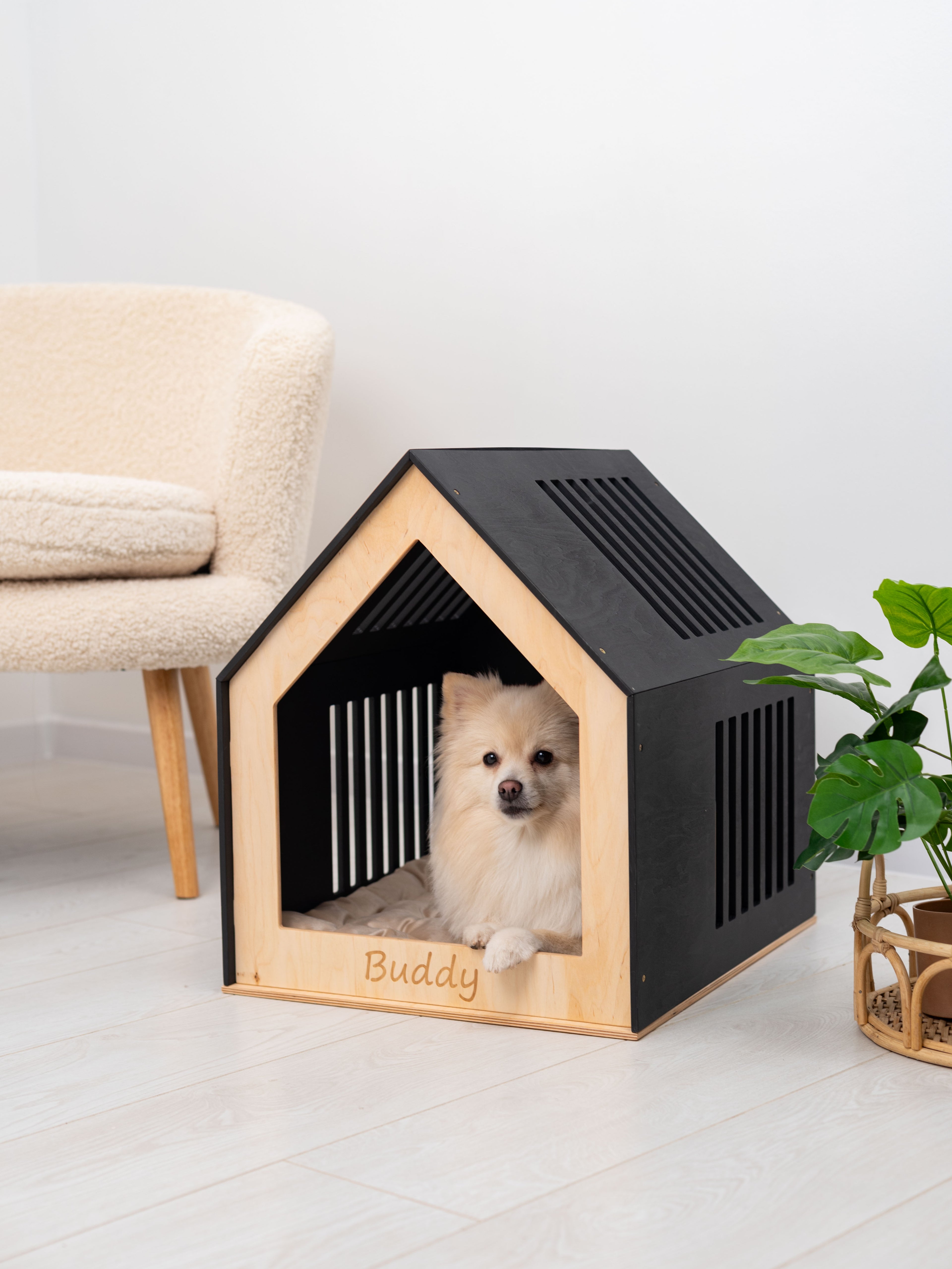 Small Indoor Dog House