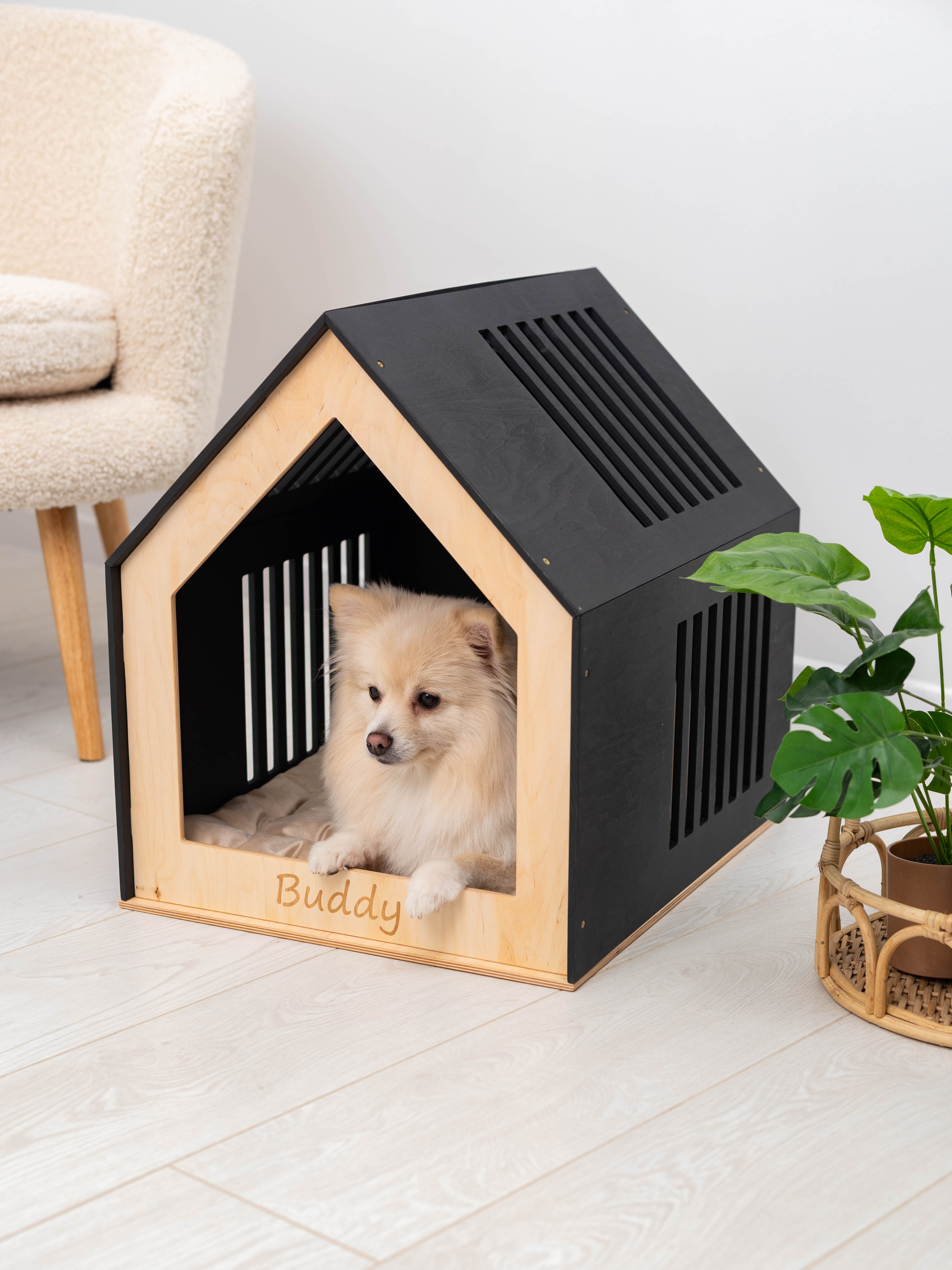 Small Indoor Dog House