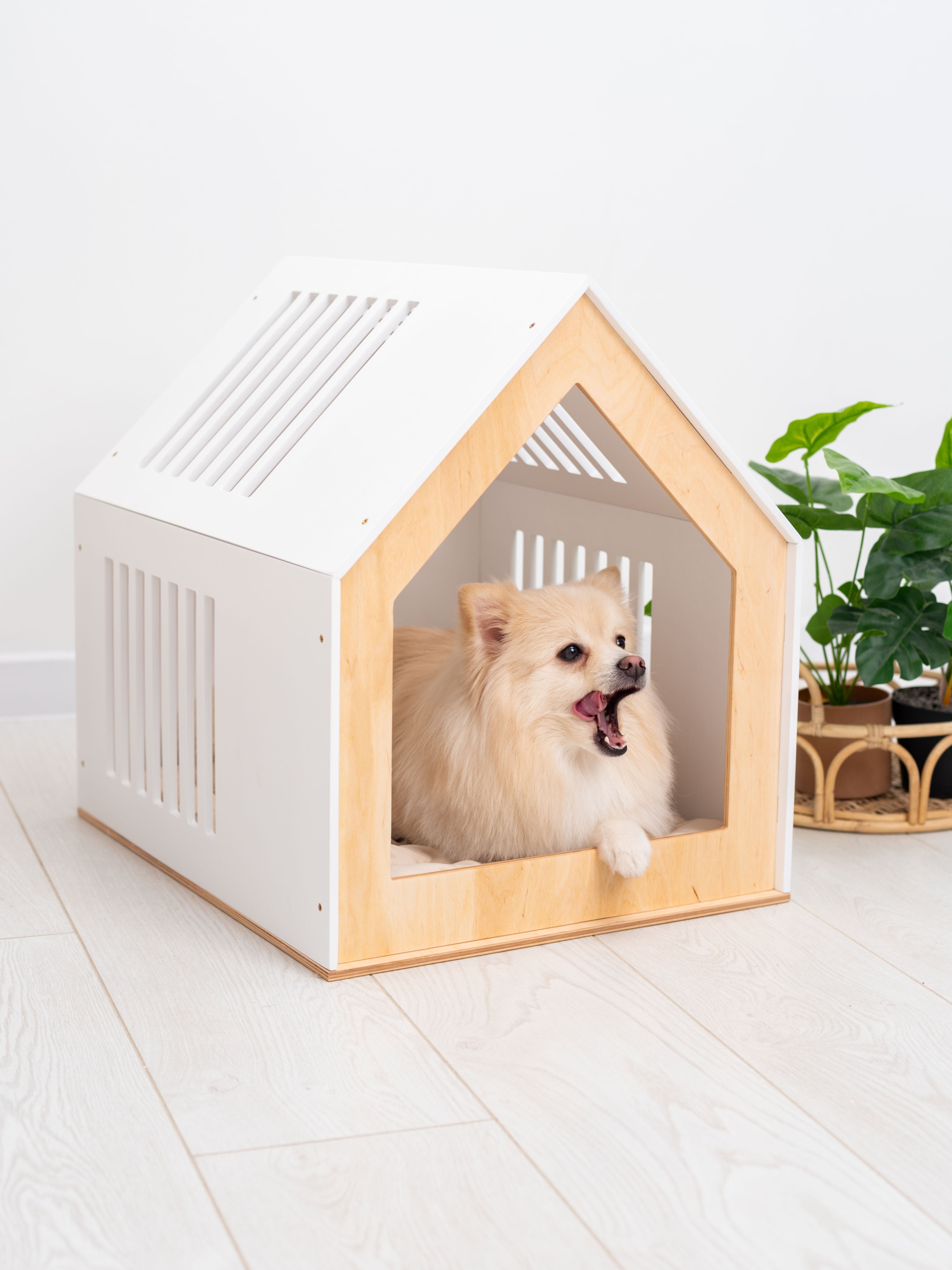 Small Indoor Dog House