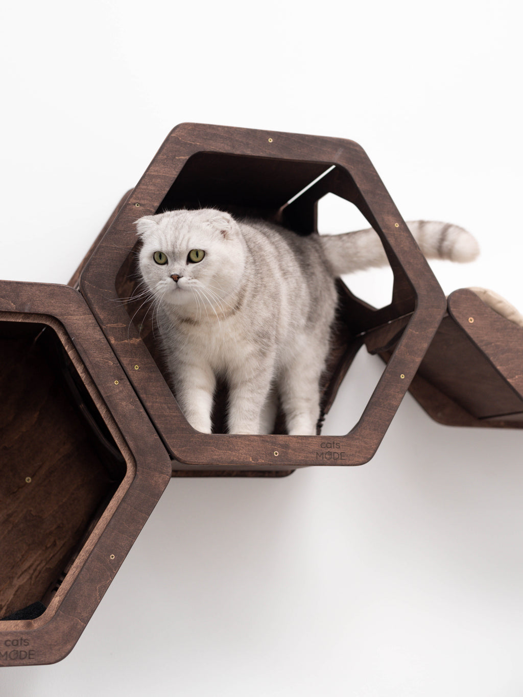 Wall Hexagon Cat House Set 2 Felt + Cat Bridge S
