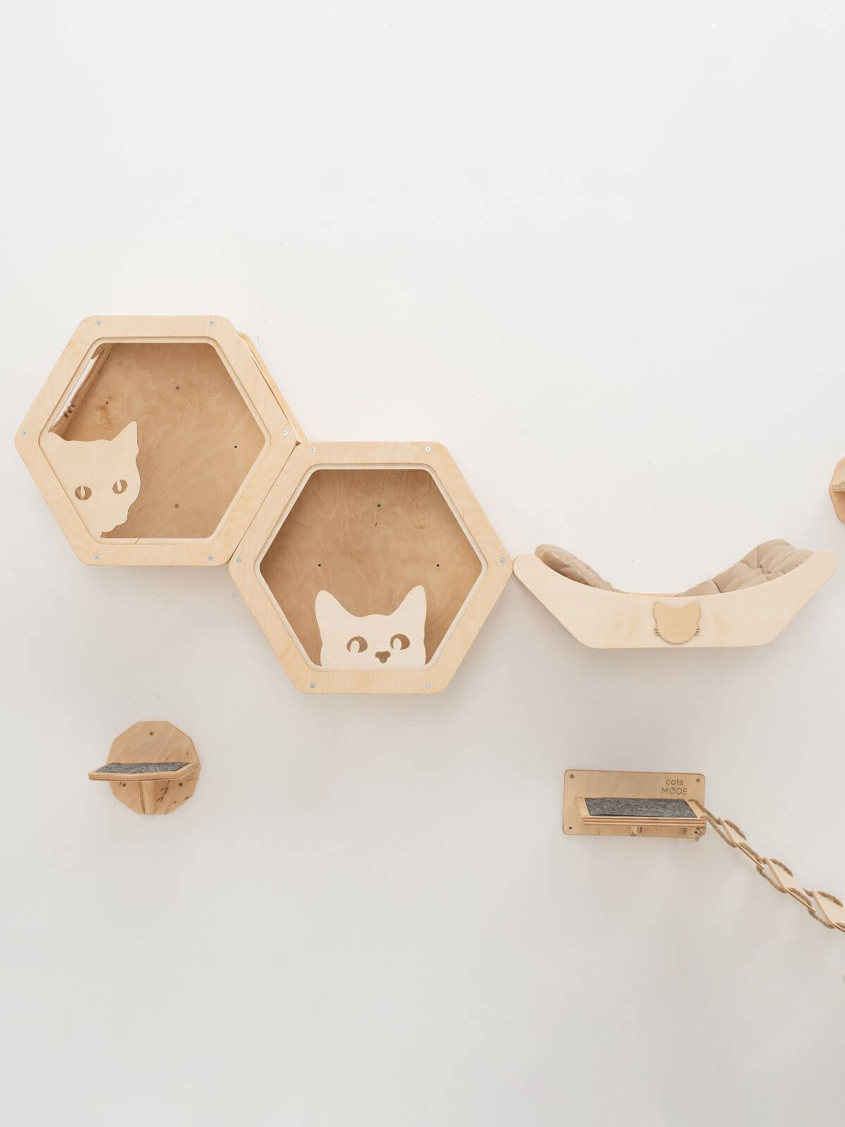 frame for cats