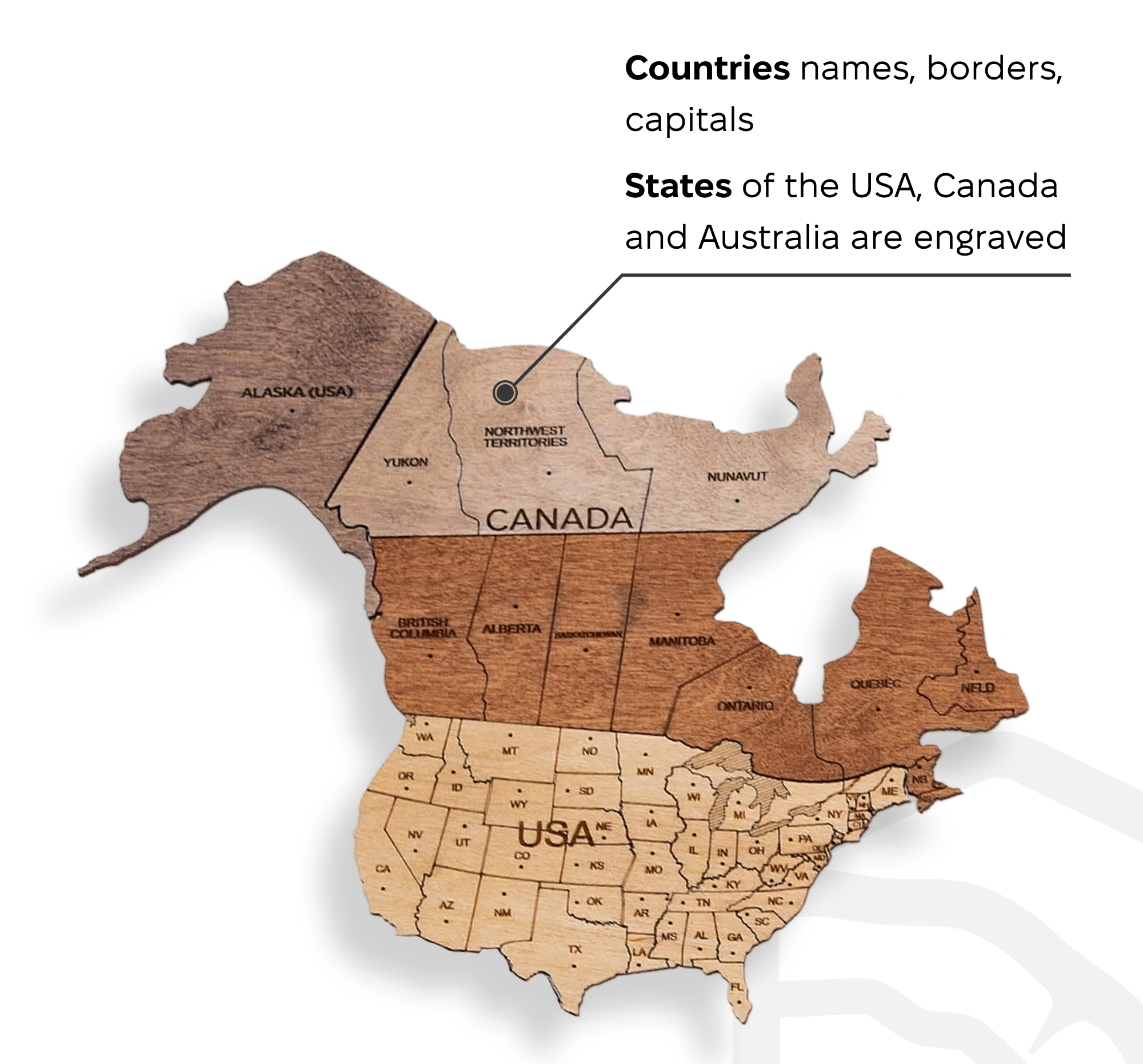 2D Wooden World Map Multicolor