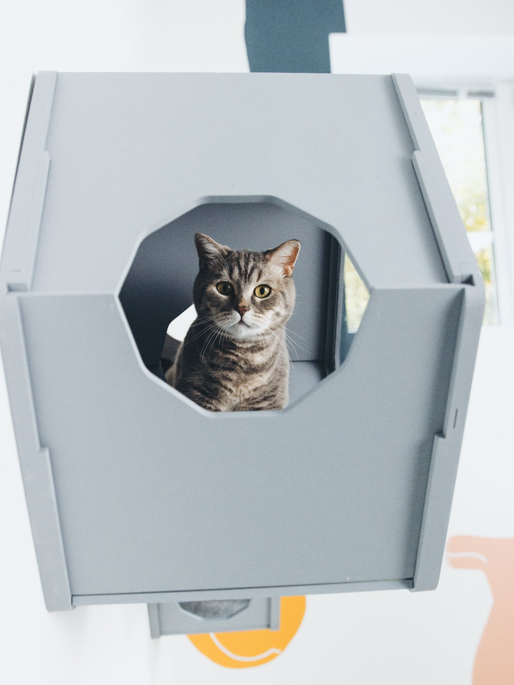 Grey Cat House - CatsMode