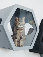 Grey Mixed Cat Set - CatsMode